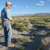 Farmer Dean Baker in sandy area 