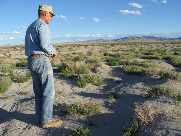 
                Farmer Dean Baker looks at an over-pumped, sandy area that used to be a lake.
                                    (Stacey Vanek-Smith)
                                