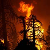 Wildfire at San Bernadino Ntl Forest 