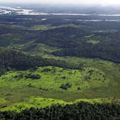 Amazon rainforest reserve in northern Brazil 