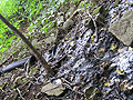 Larger view