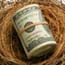 A nest egg with $100 bills