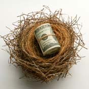 A nest egg with $100 bills 