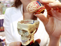 A toy model of the brain