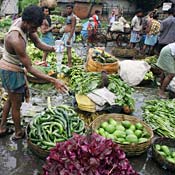 Indian vendor sprays water on vegetables 