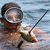 Abelia Paz spears a tuba fish 