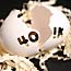 Cracked 401k nest egg