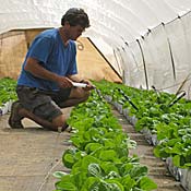 Agronomist Arik Orlov 