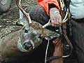 Deer hunter