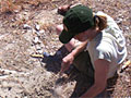 Looking for bones