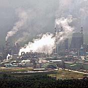 Palm oil factory 