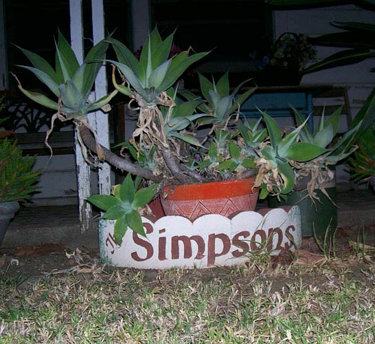 
                A planter greets visitors to the Simpsons home -- a Los Angeles-area, single-family home that at less than 1,000 square feet is significantly smaller than the average American household.
                                    (Joellen Easton)
                                