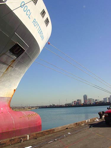 
                The bow of the container ship Rotterdam faces the high-rise towers in downtown Long Beach. The man-made ports at Long Beach and Los Angeles, just across the channel, account for 25 percent of diesel particulate emissions in the Los Angeles Basin, and more particulate-forming nitrogen oxide emissions than all six million cars in the region combined.
                                    (Margaret Koval)
                                