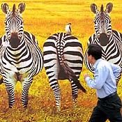 Chinese office worker runs past African promo 