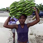 A Haitian girl carries bananas on her head. 