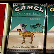 Camel brand cigarettes 