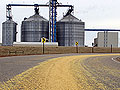 Bean road