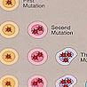 The cancer blobs. When a woman has a mutation ...
