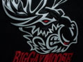 Big Gay Moose logo