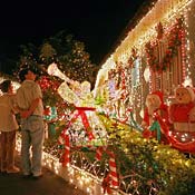 A couple admire expansive holiday decorations 