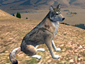 WolfQuest