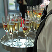 Tray of champagne glasses 