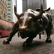 Wall Street Bull 