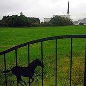 The basilica at Knock is the biggest structure in town. It's surrounded by acres of grounds, including a museum, gardens, chapels, shops and temporary housing for aged and infirm pilgrims.