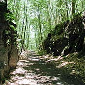 New Jersey's Kittatinny Valley State Park. 