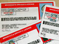 Minnesota driver's licenses
