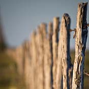A frail wooden fence 