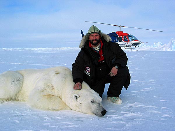 
                Andrew Derocher of the University of Alberta with one of the polar bears he observed and tagged in the Canadian Arctic in fall 2007.
                                    (Andrew Derocher)
                                