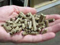 Wood pellets