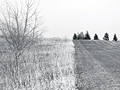 Larger view
