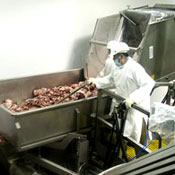 Man working in meat plant 