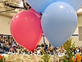 Balloons and flowers