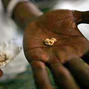 Congolese man holding gold 