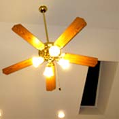 Scot and Victoria's ceiling fan with CFLs