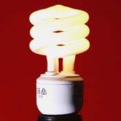 A Compact Fluorescent Bulb 