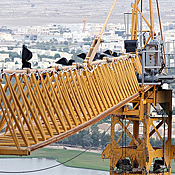 Construction crane