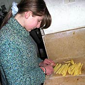 Cutting potatoes 