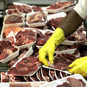An employee packs pieces of beef 
