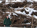 Tree pile