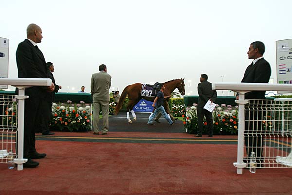 
                A Dubai horse race at Nad Al Sheba.
                                    (Tamara Abdul Hadi)
                                