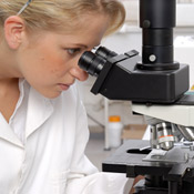 Medical researchers in the lab 