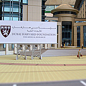 Model of Harvard University Medical Center 