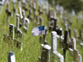 Memorial crosses