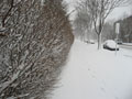 Snow in St. Paul