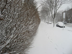 Larger view