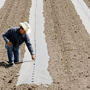 Mexican farmer explains irrigation 